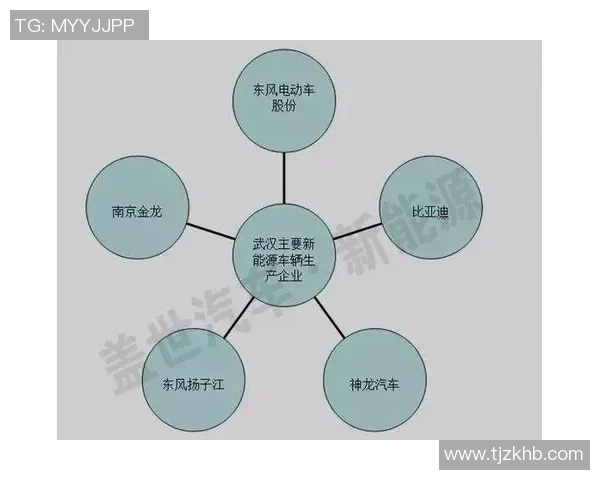 独家分析：北京乒乓球队的实力对比